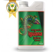 Organic Iguana Juice Bloom